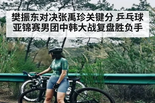 樊振东对决张禹珍关键分 乒乓球亚锦赛男团中韩大战复盘胜负手